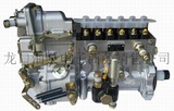 龍口龍泵燃油噴射有限公司 高壓油泵 612601080575 